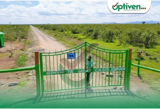 Great Oasis Gardens In Nanyuki By Optiven