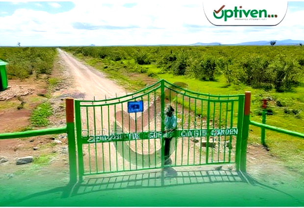 Great Oasis Gardens In Nanyuki By Optiven