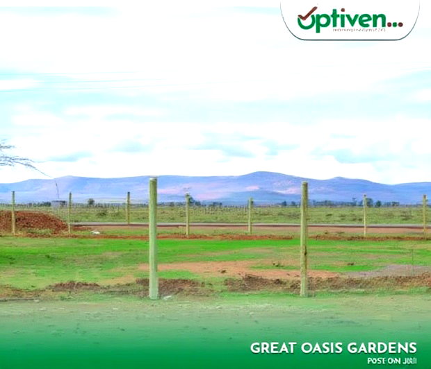 Great Oasis Gardens In Nanyuki By Optiven