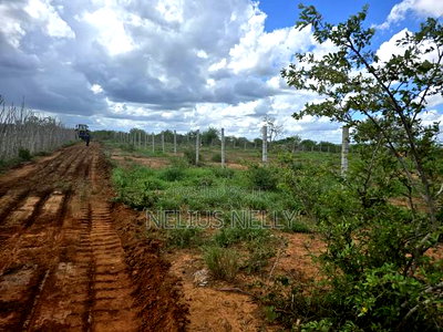 1acres for Sale Chakama Malindi 100meters Off Tarmacked - Image 5