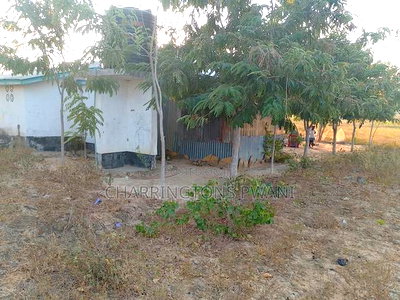 5 Acres in Mariakani - Ideal for Factory or Warehouse - Image 7
