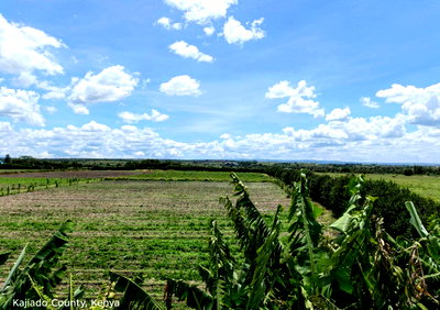 110-Acre Garden Land with Parking - Kajiado
