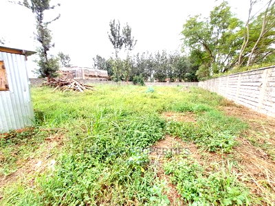 Kiukenda 1/2 Acre Residential Plot With a Perimeter Wall - Image 4