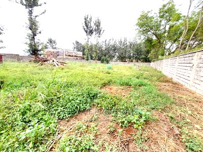 Kiukenda 1/2 Acre Residential Plot With a Perimeter Wall - Image 3