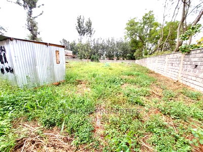 Kiukenda 1/2 Acre Residential Plot With a Perimeter Wall - Image 5