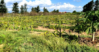 1.1 Acre Farm in Kajiado CBD at KSh 4M