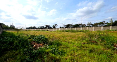 1/2 Acre Garden Plot in Karen