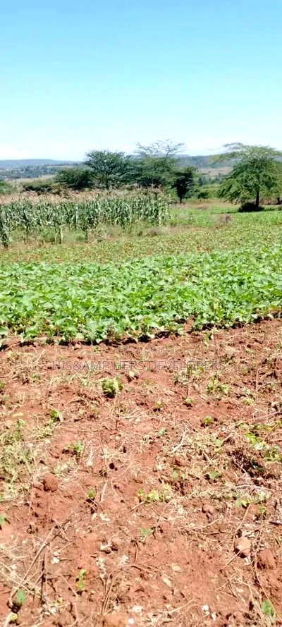 5 Acres for Sale in Subukia Polepole Area at 700kper Acre - Image 6
