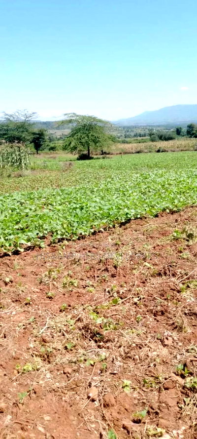 5 Acres for Sale in Subukia Polepole Area at 700kper Acre - Image 2