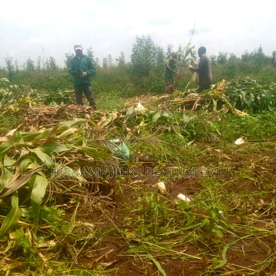 5 Acres for Sale in Subukia Polepole Area at 700kper Acre - Image 3