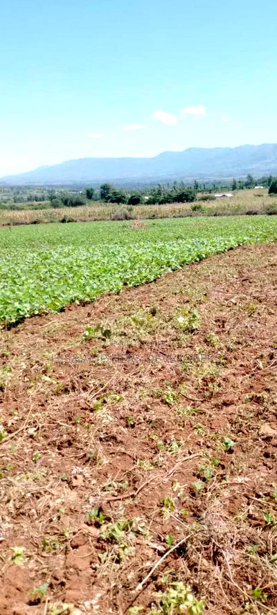 5 Acres for Sale in Subukia Polepole Area at 700kper Acre - Image 5