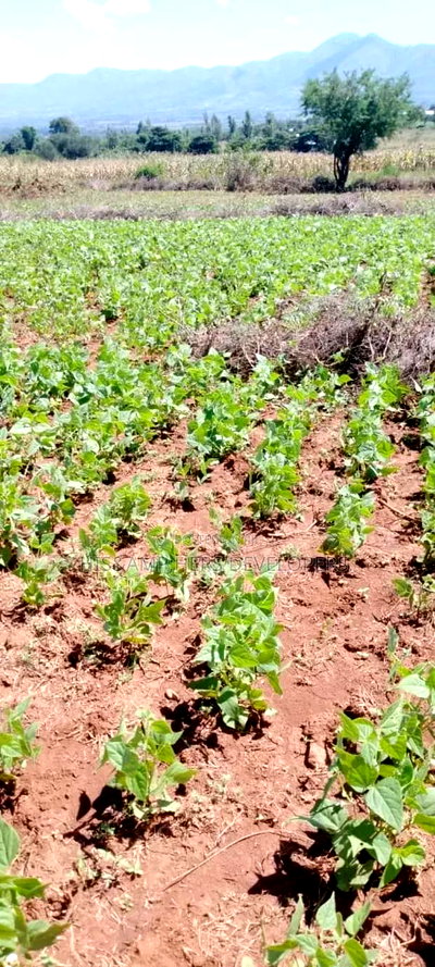 5 Acres for Sale in Subukia Polepole Area at 700kper Acre - Image 7