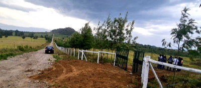 50x100 Plot with Garden in Naivasha