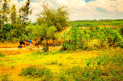 Residential Plots in Kisumu - Image 3