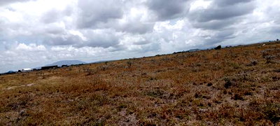 Plot for Sale at Malaa - Image 3