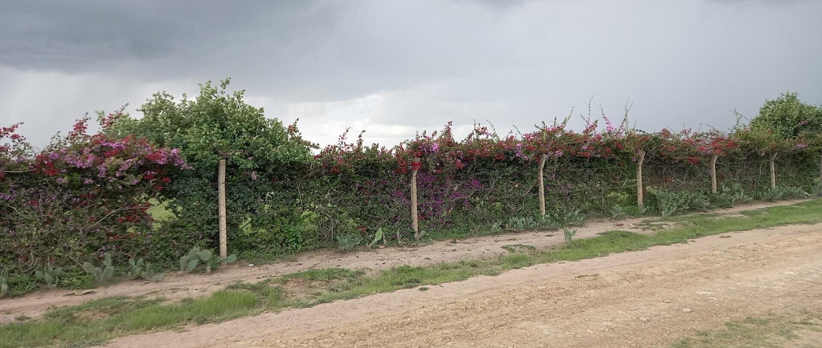 1/8 Acre Plot at KSh 380K