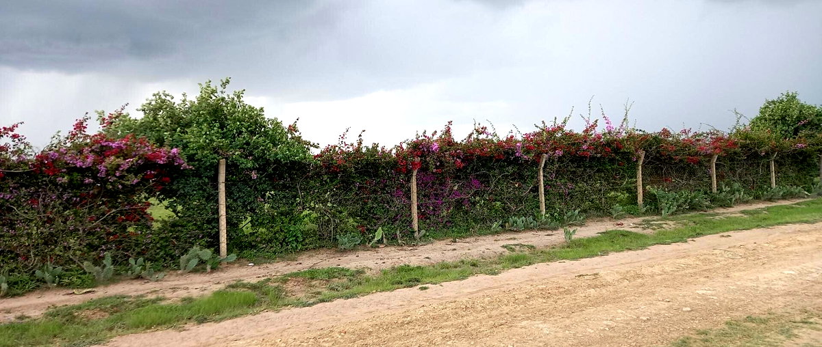 1/8 Acre Plot at KSh 380K