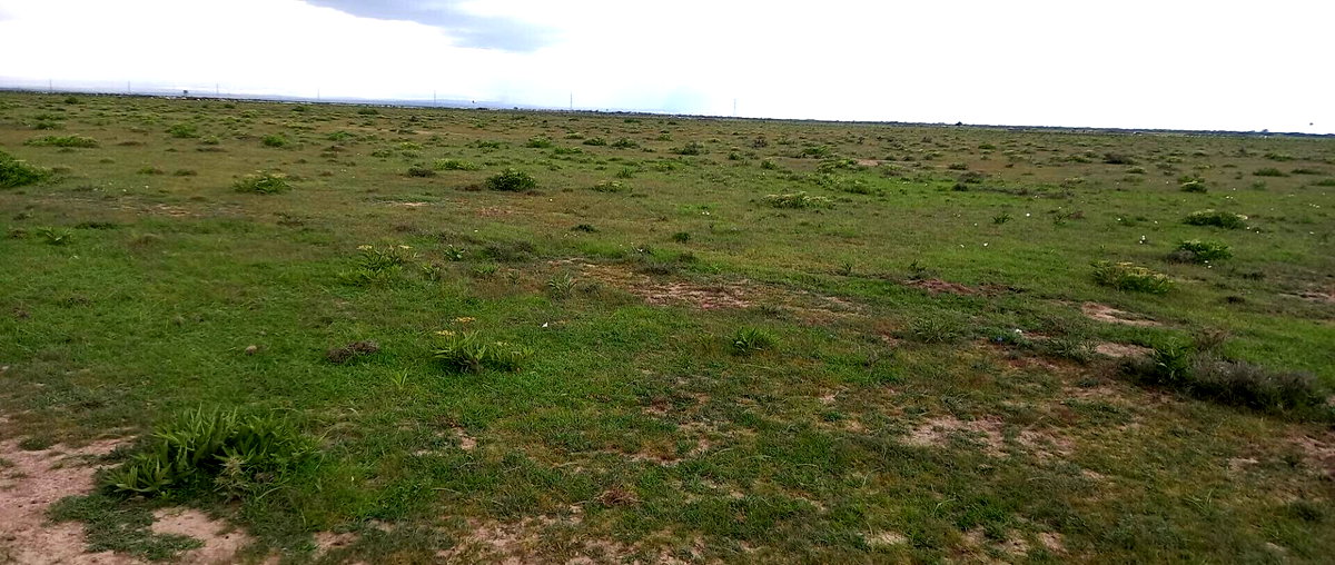 1/8 Acre Plot at KSh 380K