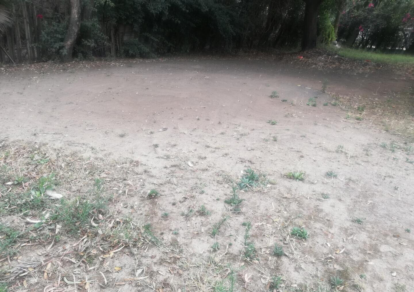 KSh 135M Kilimani Plot with Parking