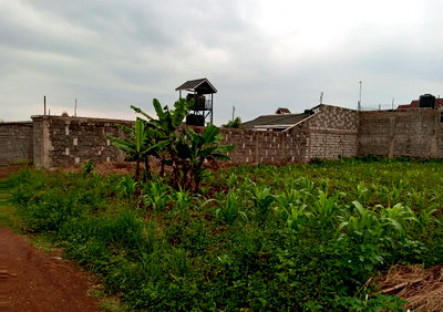 Quarter Acre Garden Plot in Ruiru