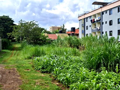 50x100 Available Plot for Sale in Gathiga - Image 9