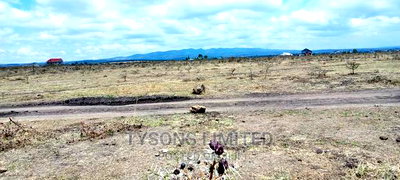 Quater Acre Plot for Sale in Tuala - Image 2