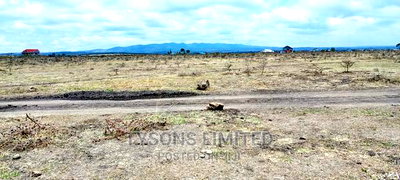 Quater Acre Plot for Sale in Tuala - Image 1
