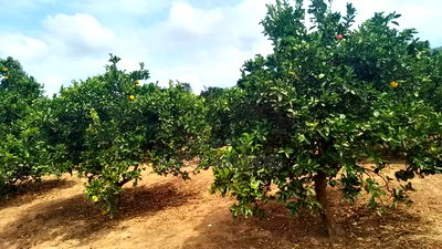 2 Acres Nzaui Makueni - Image 1