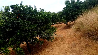 2 Acres Nzaui Makueni - Image 2