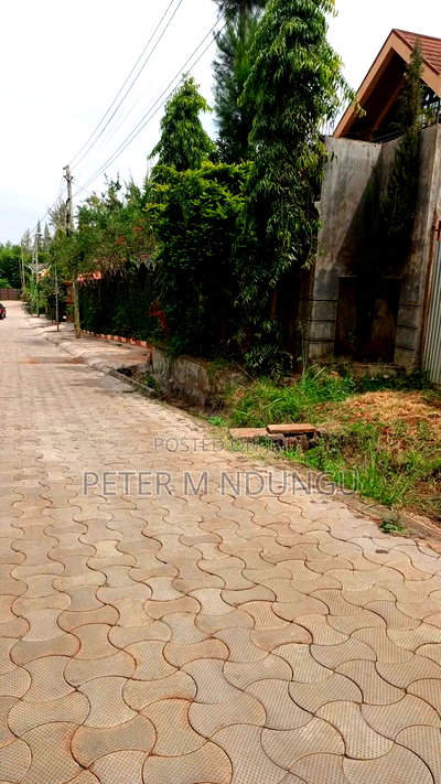 Kamiti Rigde Prime Residential Plot 50*100, Gated - Image 3