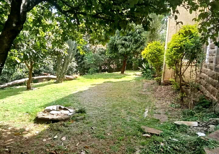 KSh 250M Prime Redevelopment Plot