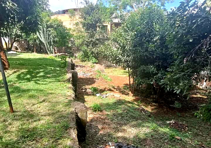 KSh 250M Prime Redevelopment Plot