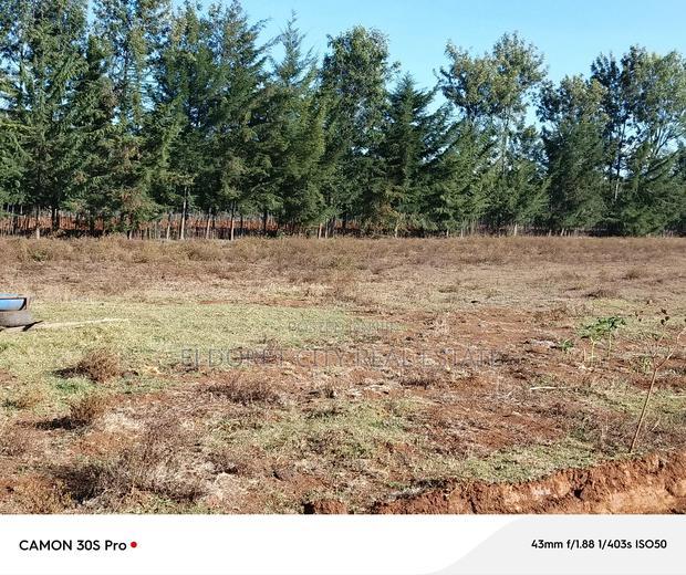 1/4 Plots Ilula Ideal for Residential.