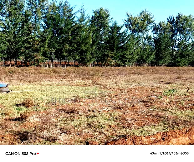 1/4 Plots Ilula Ideal for Residential.