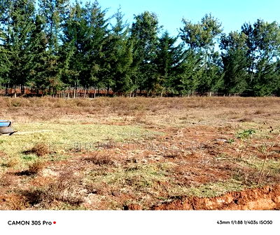 1/4 Plots Ilula Ideal for Residential. - Image 4