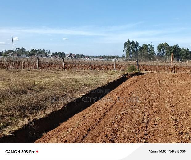 1/4 Plots Ilula Ideal for Residential.