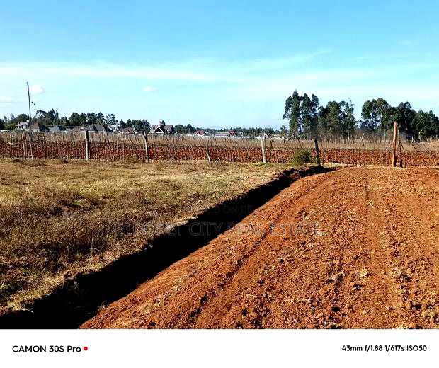 1/4 Plots Ilula Ideal for Residential.