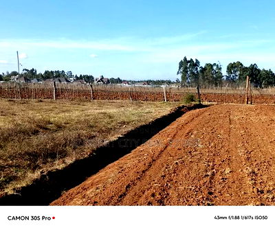 1/4 Plots Ilula Ideal for Residential. - Image 1