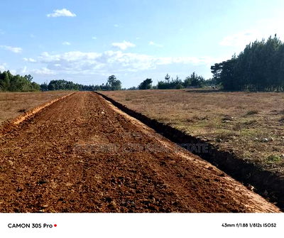 1/4 Plots Ilula Ideal for Residential. - Image 2