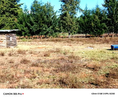 1/4 Plots Ilula Ideal for Residential. - Image 3