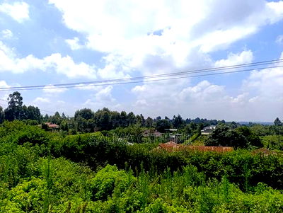 Residential Plots for Sale in Kikuyu-Kamangu - Image 9