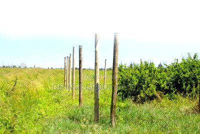 Why Kamulu Plots? Buy Build! - Image 3