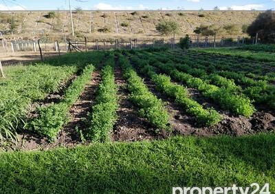 11-Acre Land in Kajiado CBD