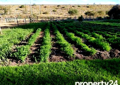11-Acre Land in Kajiado CBD