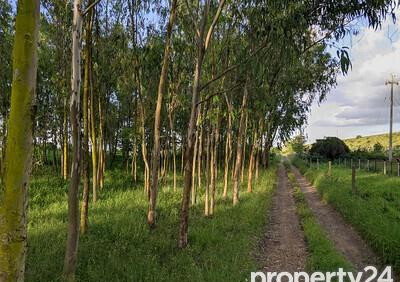 11-Acre Land in Kajiado CBD