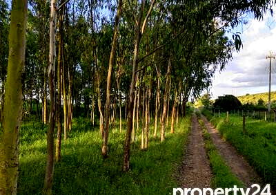 11-Acre Land in Kajiado CBD