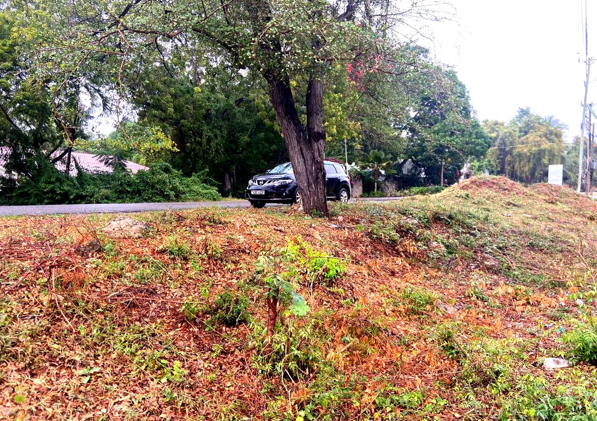 Quarter Acre Garden Plot at KSh 6M