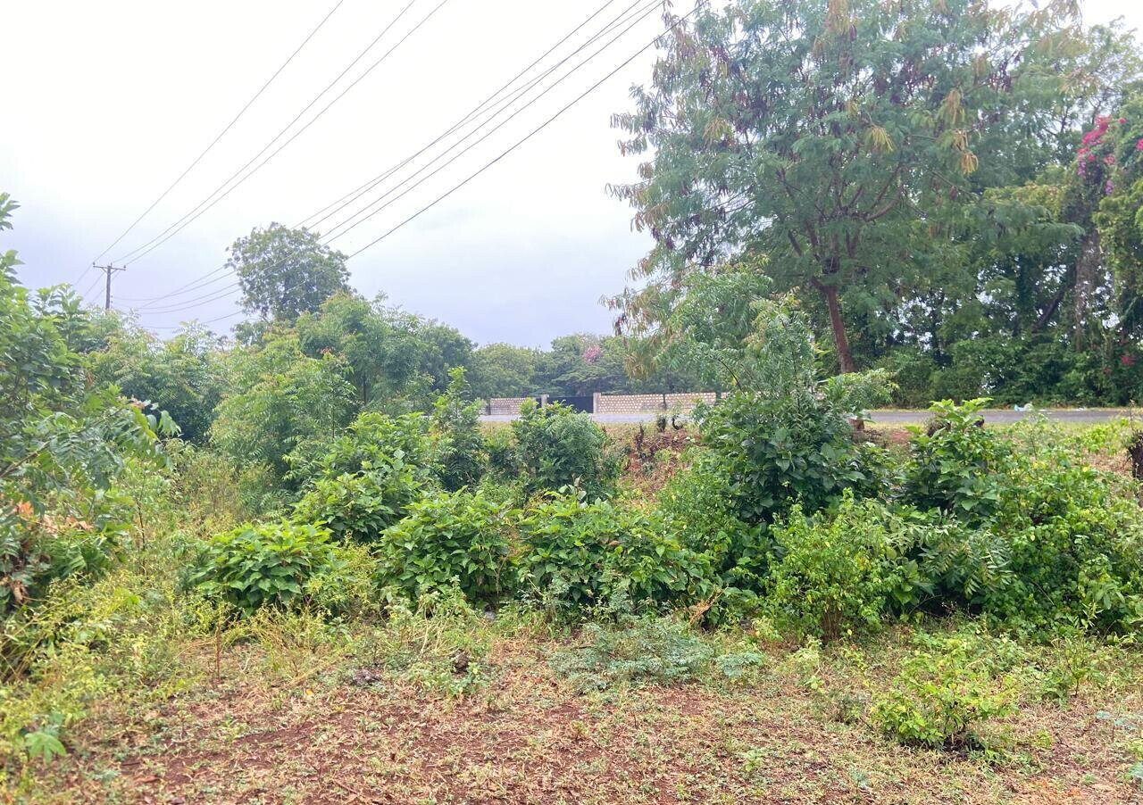 Quarter Acre Garden Plot at KSh 6M