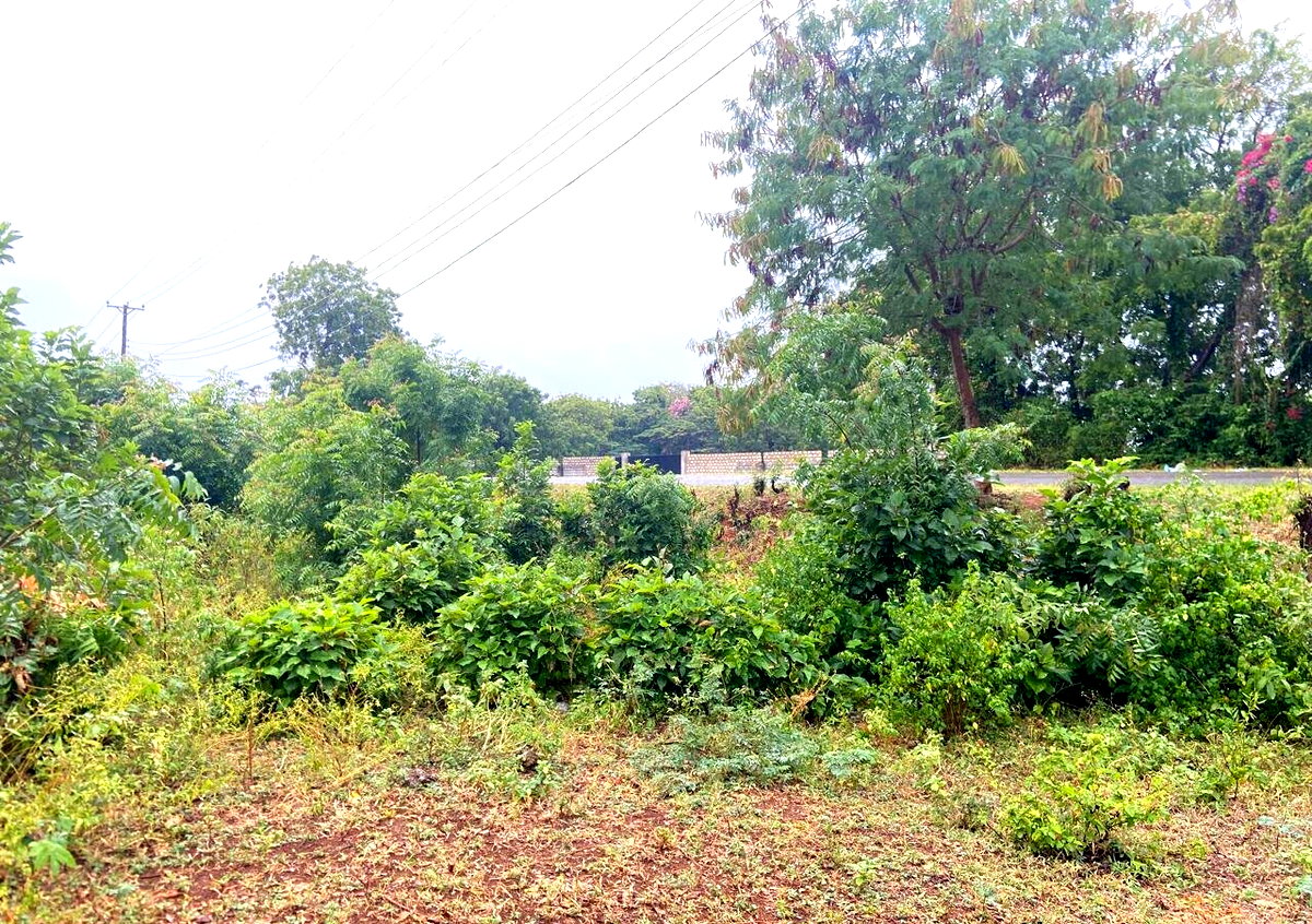 Quarter Acre Garden Plot at KSh 6M