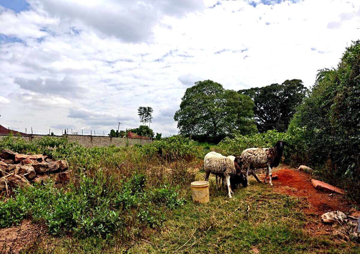 1/2 Acre Garden Plot in Muthaiga